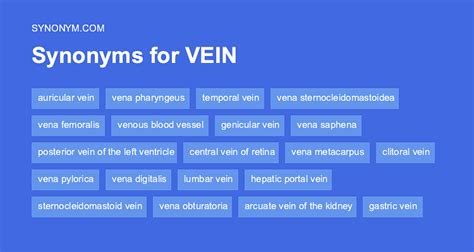 similar vein|similar vein synonym.